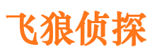 平利市侦探公司